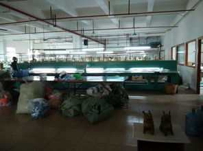 東莞市農(nóng)村社區(qū)集體資產(chǎn)管理網(wǎng)在東風(fēng)社區(qū)的應(yīng)用 網(wǎng)絡(luò)工程實(shí)踐與展望